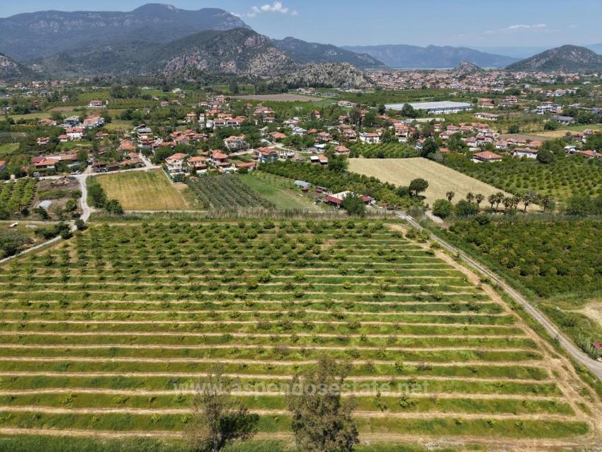 5100 M² Großes Grundstück In Der Nähe Des Stadtzentrums Von Dalyan Zu Verkaufen.