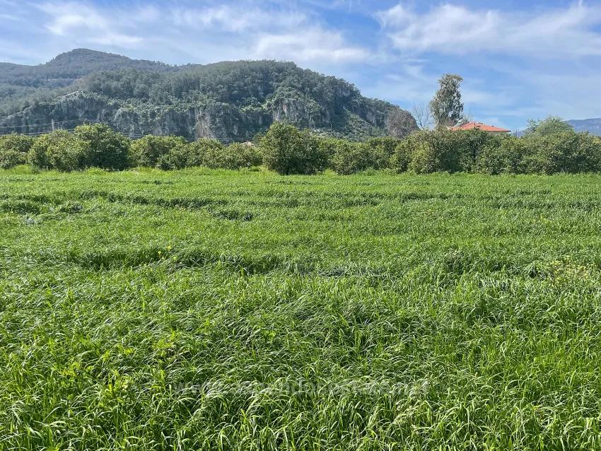 In Okçular Einem 736M2 Großen, 250M2 Großen Bau Genehmigten Verkäuflichen Grundstück
