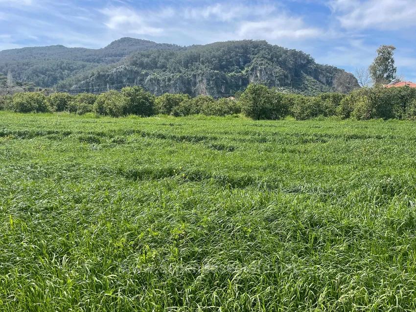 In Okçular Einem 736M2 Großen, 250M2 Großen Bau Genehmigten Verkäuflichen Grundstück