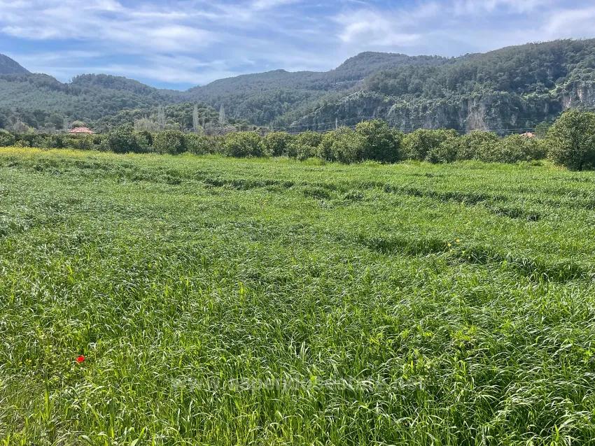 In Okçular Einem 736M2 Großen, 250M2 Großen Bau Genehmigten Verkäuflichen Grundstück