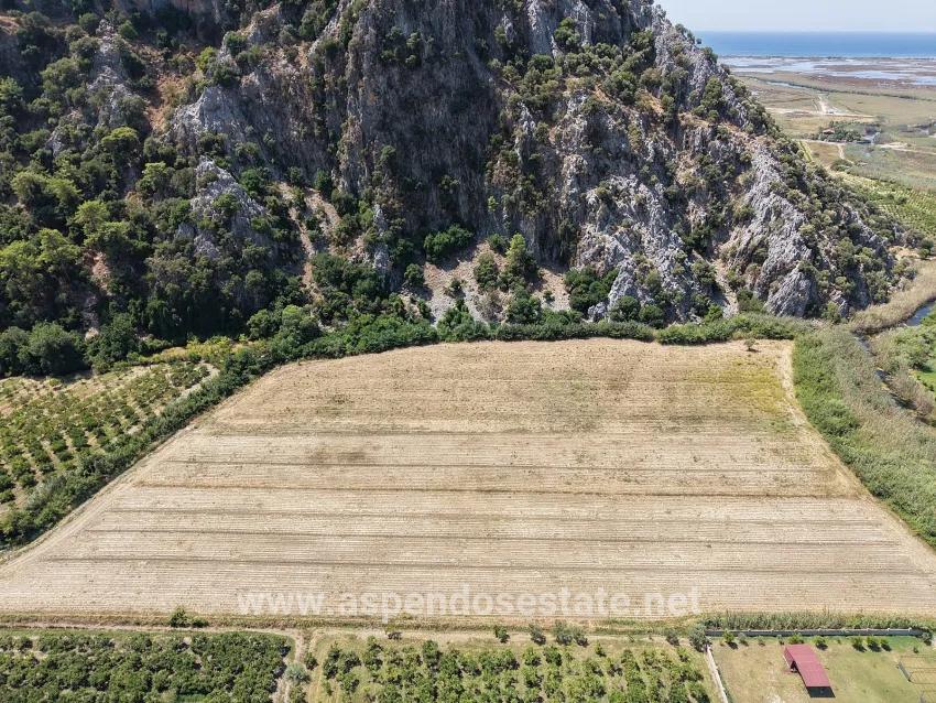Feld Zu verkaufen in Dalyan Bz. Ortaca - Feld-Zonierung - 20.786 m²