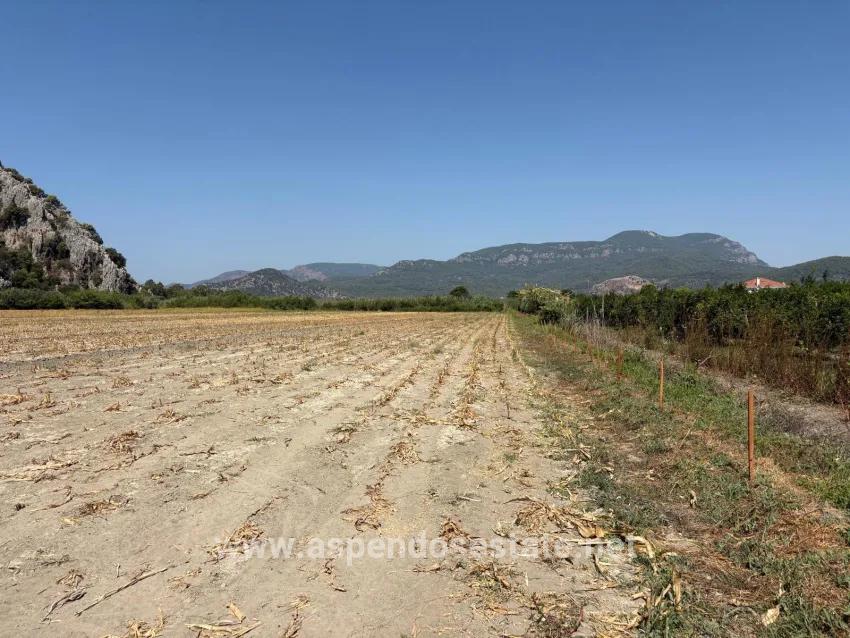 Feld Zu verkaufen in Dalyan Bz. Ortaca - Feld-Zonierung - 20.786 m²