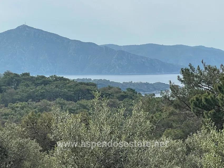 Feld Zu verkaufen in Ekincik Bz. Köyceğiz - Olive-Zonierung - 7.000 m²
