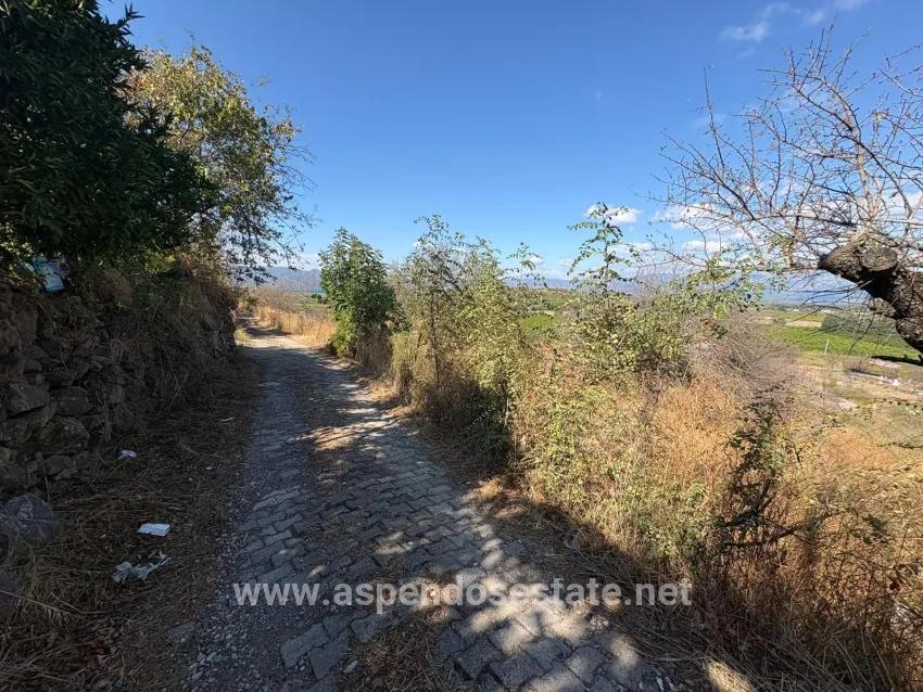Feld Zu verkaufen in Dalyan Bz. Ortaca - Feld-Zonierung - 5.000 m²