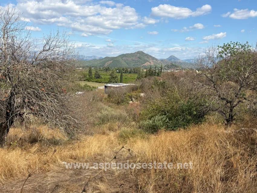 Feld Zu verkaufen in Dalyan Bz. Ortaca - Feld-Zonierung - 5.000 m²