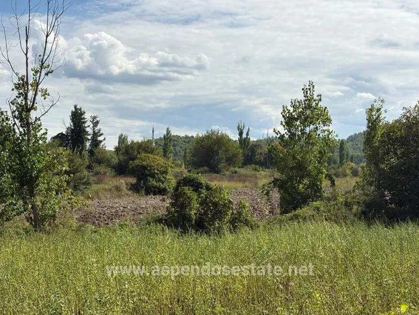 Feld Zu verkaufen in Zeytinalanı Bz. Köyceğiz - Feld-Zonierung - 10.500 m²