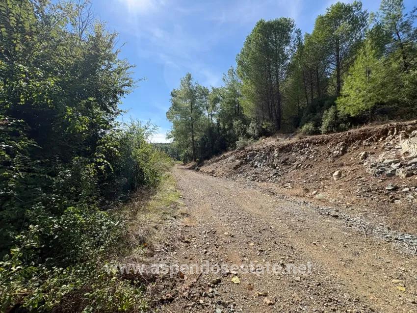 Feld Zu verkaufen in Zeytinalanı Bz. Köyceğiz - Feld-Zonierung - 10.500 m²