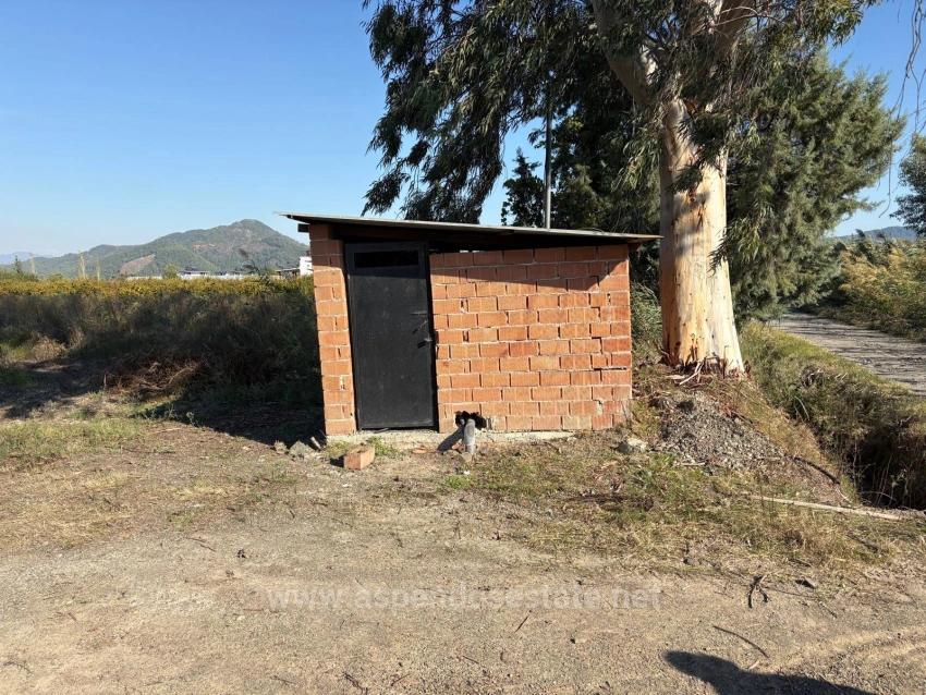 21500 M² Großer Granatapfelgarten In Eskiköy Zu Verkaufen