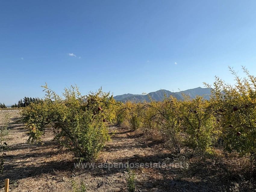 19.663 M² Ackerland Und Haus In Eskiköy