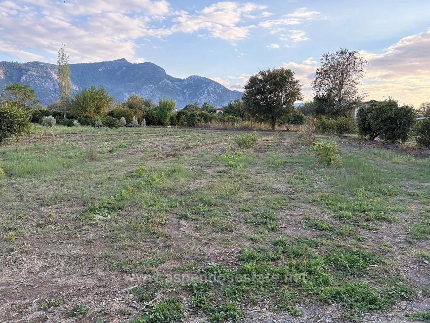 7.450 M² Großes Grundstück In Dalyan Mit 5%Iger Zonierung Zu Verkaufen.