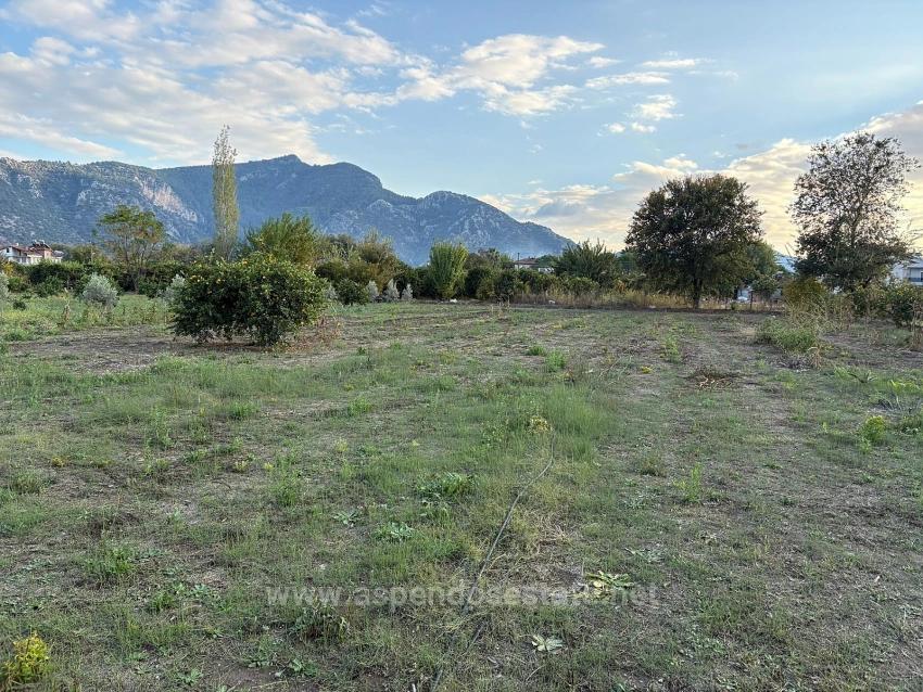 7.450 M² Großes Grundstück In Dalyan Mit 5%Iger Zonierung Zu Verkaufen.