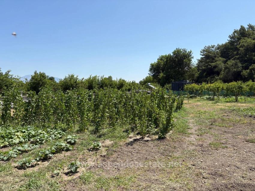 Freistehendes Holzhaus Mit 120 M² Wohnfläche Auf Einem 2500 M² Großen Grundstück In Der Gegend Von Dalyan Karadağ