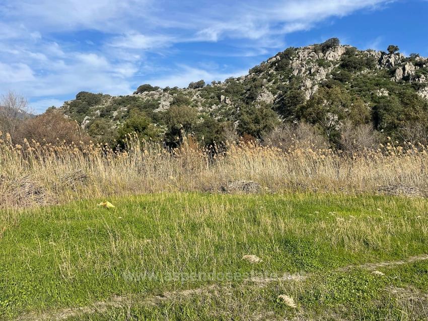 6800 M² Großes Grundstück In Dalyan Zu Verkaufen, 5% Wohnbebauungszone.