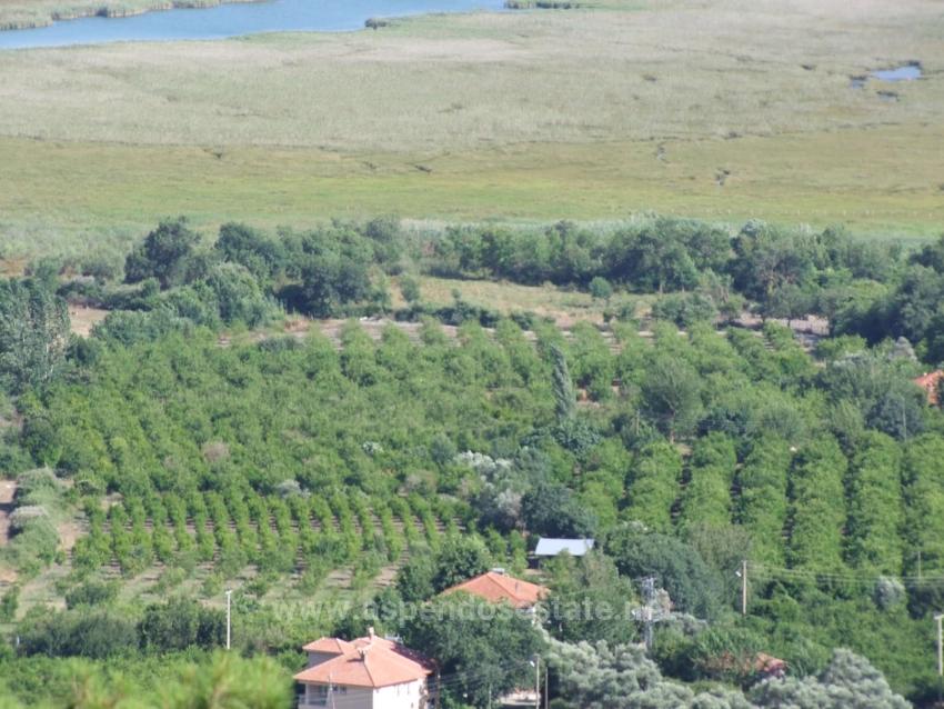 19.334 M² Großes Grundstück Zum Verkauf In Çandır, Köyceğiz.