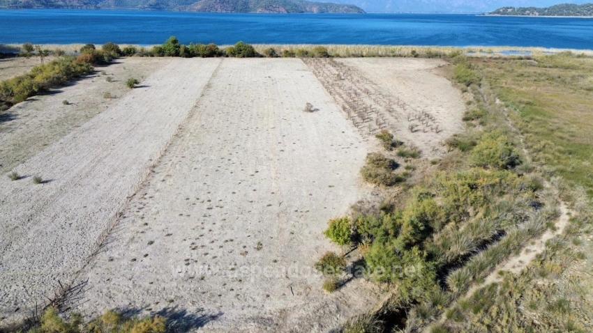 Feld Zu Verkaufen in Sultaniye Bz. Köyceğiz - Feld-Zonierung - 3.210 m²