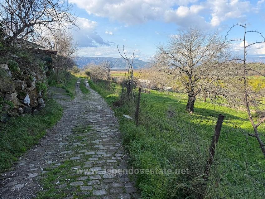 11.230 M² Großes Grundstück Mit Seeblick In Dalyan Zu Verkaufen.