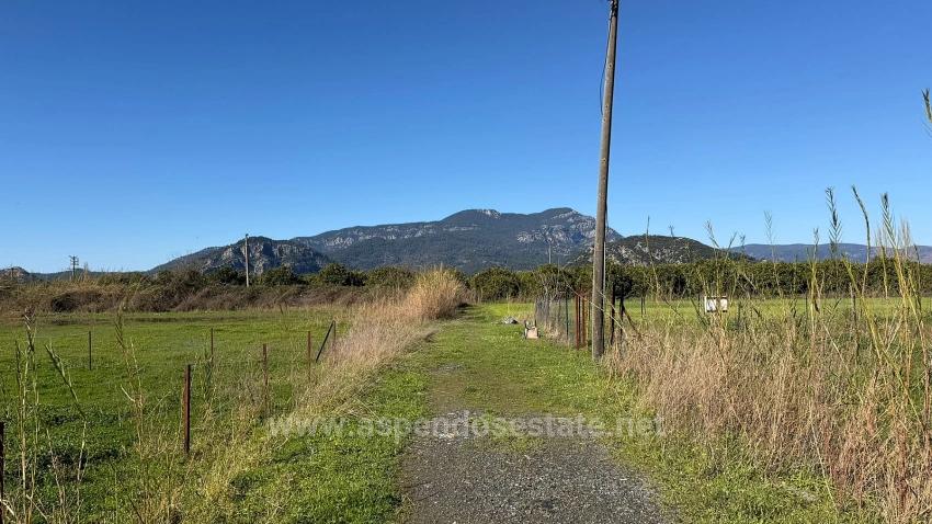 509M2 Grundstück Zum Verkauf In Okçular