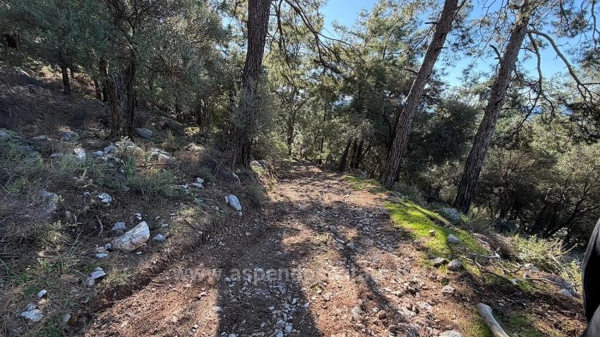 Feld Zu verkaufen in Çandır Bz. Köyceğiz - Gehäuse-Zonierung - 5.715 m²