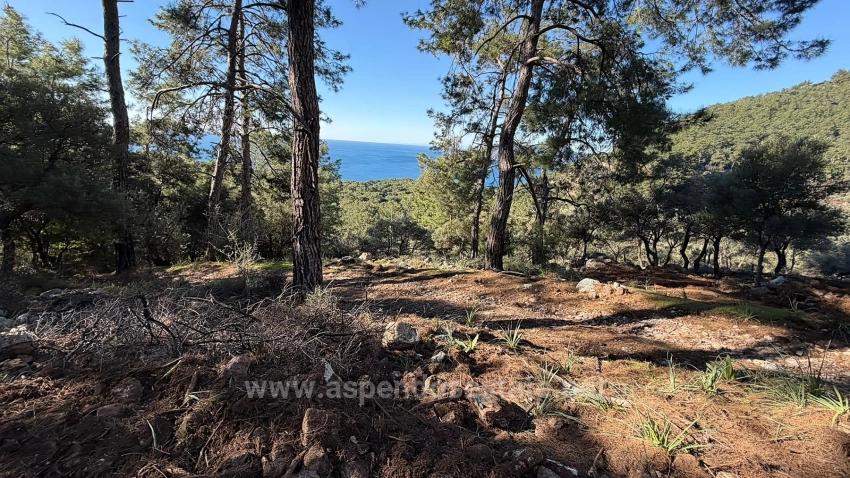 Feld Zu verkaufen in Çandır Bz. Köyceğiz - Gehäuse-Zonierung - 5.715 m²