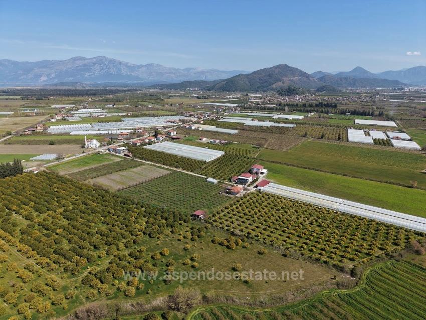 17.550 M2 Weinberg-Bahce Zum Verkauf In Der Nähe Des Dalyan Centers