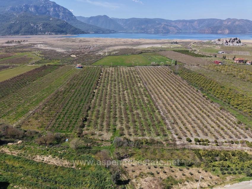 Feld Zu Verkaufen in Eskiköy Bz. Ortaca - Feld-Zonierung - 16.710 m²