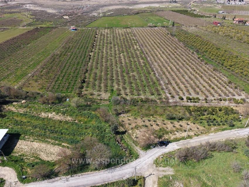 16.710 M² Granatapfelgarten Zum Verkauf Mit Seeblick In Eskiköy