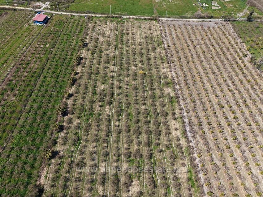 16.710 M² Granatapfelgarten Zum Verkauf Mit Seeblick In Eskiköy