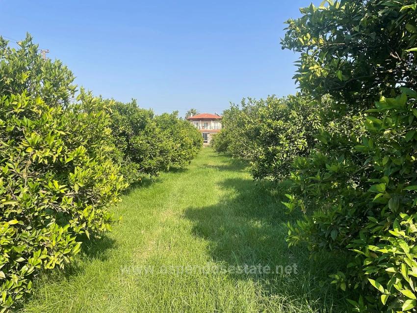 722M2 Grundstück Zum Verkauf In Dalyan Gülpınar