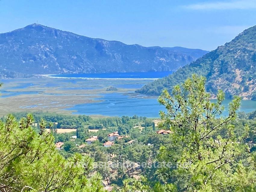 Feld Zu verkaufen in Çandır Bz. Köyceğiz - Feld-Zonierung - 1.252 m²