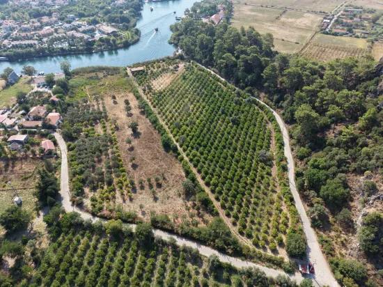 Im Köyceğiz Çandır Mahallesinde kanala sıfır 20.000m2 satılık Feld