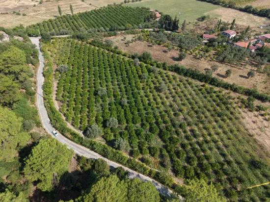 Im Köyceğiz Çandır Mahallesinde kanala sıfır 20.000m2 satılık Feld