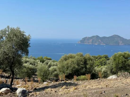 In Çandır mit Meerblick 21.000 m2 zu verkaufen 2b Feld