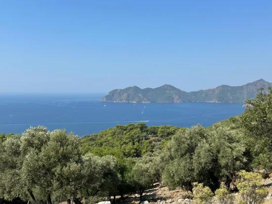In Çandır mit Meerblick 21.000 m2 zu verkaufen 2b Feld