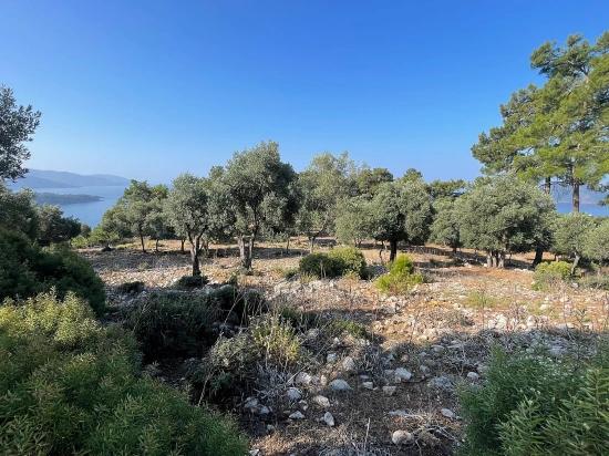 Schnäppchengrundstück Zum Verkauf Mit Meerblick In Der Gegend Von Ekincik-Çandır.