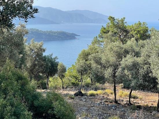 Schnäppchengrundstück Zum Verkauf Mit Meerblick In Der Gegend Von Ekincik-Çandır.