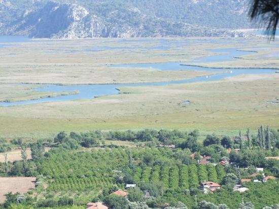 19.334 M² Großes Grundstück Zum Verkauf In Çandır, Köyceğiz.