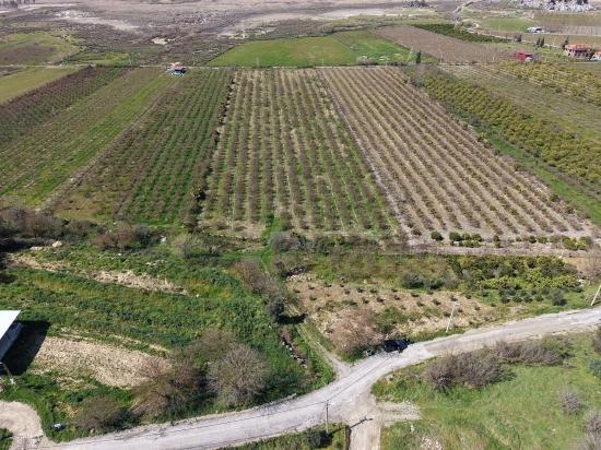 16.710 M² Granatapfelgarten Zum Verkauf Mit Seeblick In Eskiköy