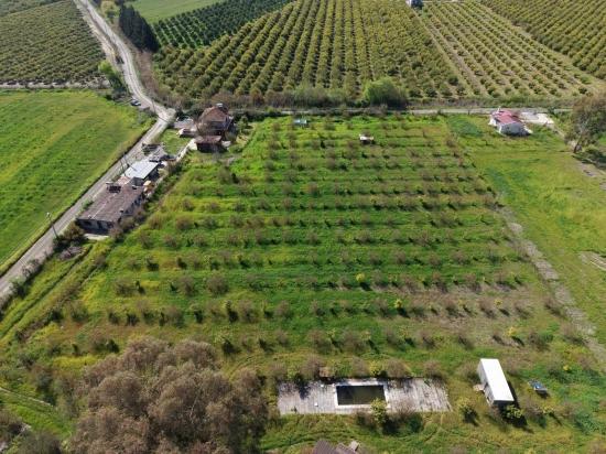 Tourismusorientiertes Unternehmen Auf Einem 11.000 M² Großen Grundstück In Eskiköy Zu Verkaufen.