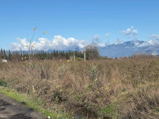 23.000 M² Großes Freistehendes Grundstück In Tepearası Zu Verkaufen.