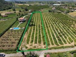Feld Zu Verkaufen in Dalyan Bz. Ortaca - Feld-Zonierung - 5.100 m²