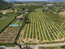 Feld Zu Verkaufen in Dalyan Bz. Ortaca - Feld-Zonierung - 5.100 m²