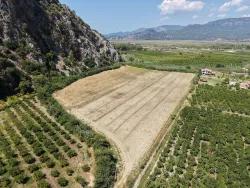 Feld Zu verkaufen in Dalyan Bz. Ortaca - Feld-Zonierung - 20.786 m²