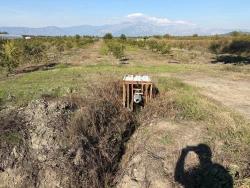 Feld Zu Verkaufen in Eskiköy Bz. Ortaca - Feld-Zonierung - 21.500 m²