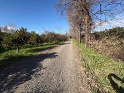 Land Zu Verkaufen in Okçular Bz. Ortaca - Gehäuse-Zonierung - 4.326 m²