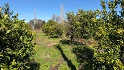 Land Zu Verkaufen in Okçular Bz. Ortaca - Gehäuse-Zonierung - 2.218 m²