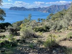 Feld Zu Verkaufen in Çandır Bz. Köyceğiz - Feld-Zonierung - 20.000 m²