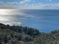 Feld Zu Verkaufen in Çandır Bz. Köyceğiz - Feld-Zonierung - 20.000 m²