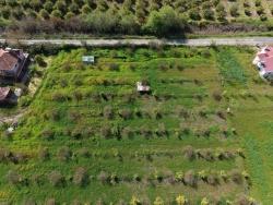 Tourismusorientiertes Unternehmen Auf Einem 11.000 M² Großen Grundstück In Eskiköy Zu Verkaufen.