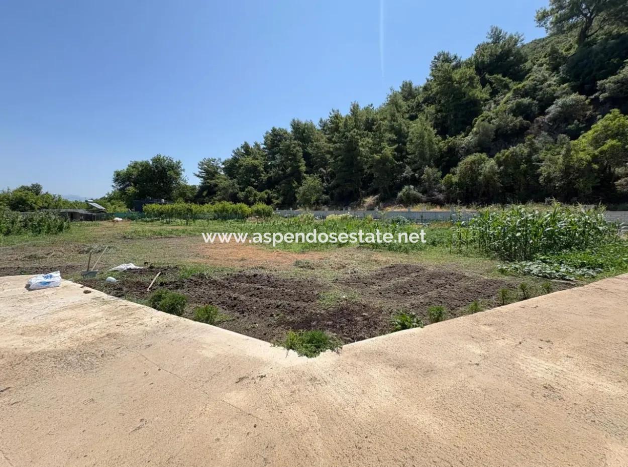 120M2 Freistehendes Holzhaus Auf Einem 2500M2 Großen Feld In Dalyan Karadağ