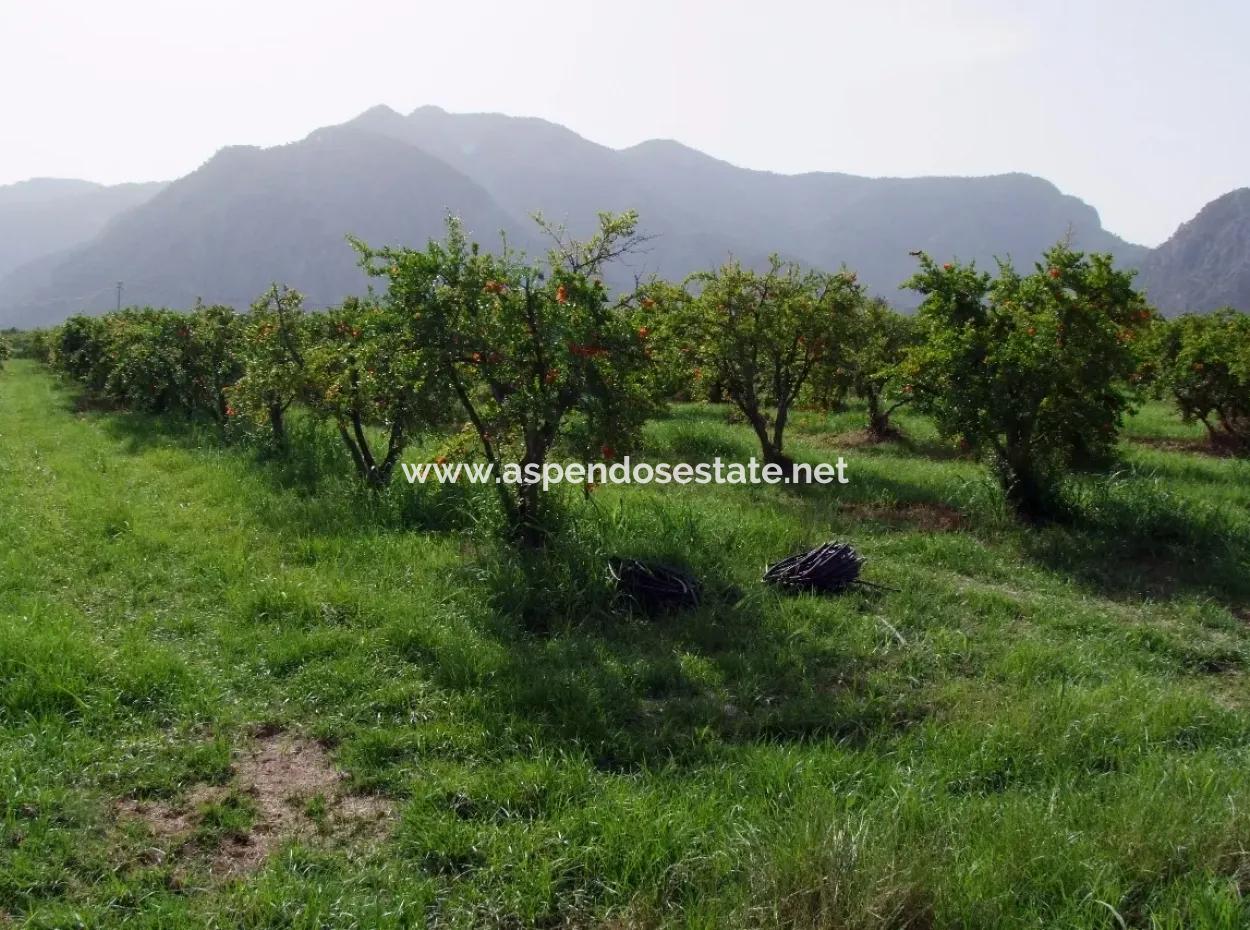 Merkez Dalyan Iztuzu See-Garten-Villa Zum Verkauf